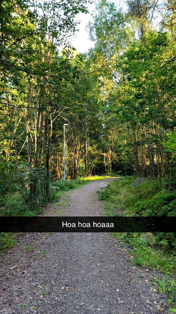 mathilda_bergs snapchat image archive image