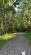 mathilda_bergs Altpins Profile Picture