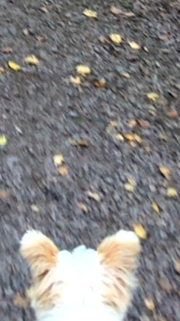 mathilda_bergs snapchat image archive image
