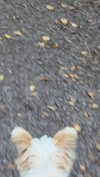 mathilda_bergs Altpins Profile Picture