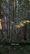 mathilda_bergs Altpins Profile Picture
