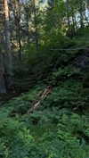 mathilda_bergs Altpins Profile Picture