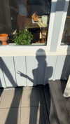 mathilda_bergs Altpins Profile Picture