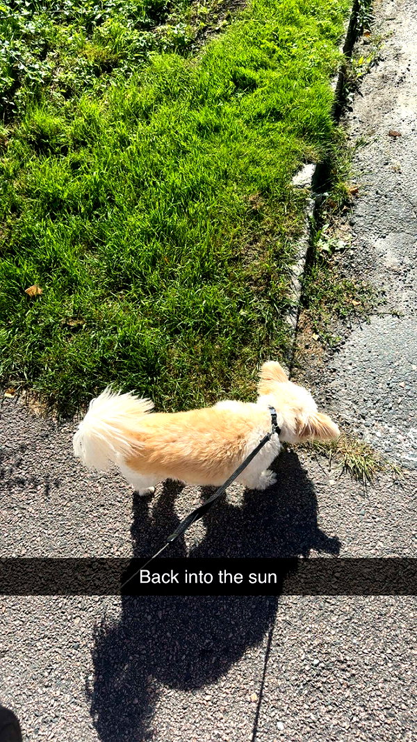 mathilda_bergs snapchat image archive image