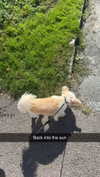 mathilda_bergs Altpins Profile Picture