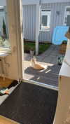 mathilda_bergs Altpins Profile Picture