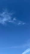 mathilda_bergs Altpins Profile Picture
