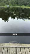 mathilda_bergs Altpins Profile Picture