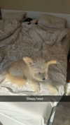 mathilda_bergs Altpins Profile Picture