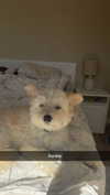 mathilda_bergs Altpins Profile Picture