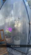 mathilda_bergs Altpins Profile Picture