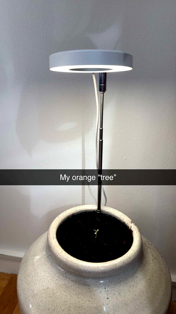 mathilda_bergs snapchat image archive image