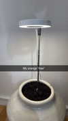 mathilda_bergs Altpins Profile Picture
