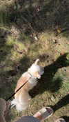 mathilda_bergs Altpins Profile Picture