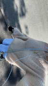 mathilda_bergs Altpins Profile Picture