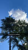 mathilda_bergs Altpins Profile Picture