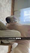 mathilda_bergs Altpins Profile Picture