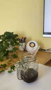 mathilda_bergs Altpins Profile Picture