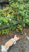 mathilda_bergs Altpins Profile Picture