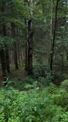 mathilda_bergs Altpins Profile Picture