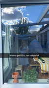 mathilda_bergs Altpins Profile Picture