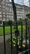 mathilda_bergs Altpins Profile Picture
