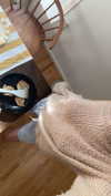 mathilda_bergs Altpins Profile Picture