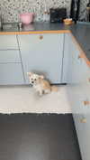 mathilda_bergs Altpins Profile Picture