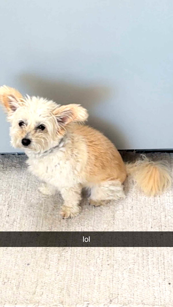 mathilda_bergs snapchat image archive image