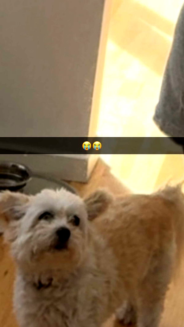 mathilda_bergs snapchat image archive image
