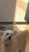 mathilda_bergs Altpins Profile Picture