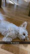 mathilda_bergs Altpins Profile Picture