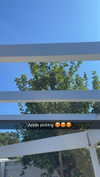 mathilda_bergs Altpins Profile Picture