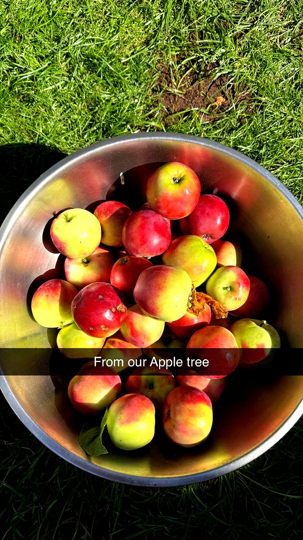 mathilda_bergs snapchat image archive image