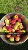 mathilda_bergs Altpins Profile Picture