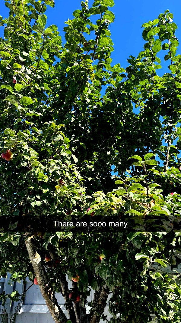 mathilda_bergs snapchat image archive image