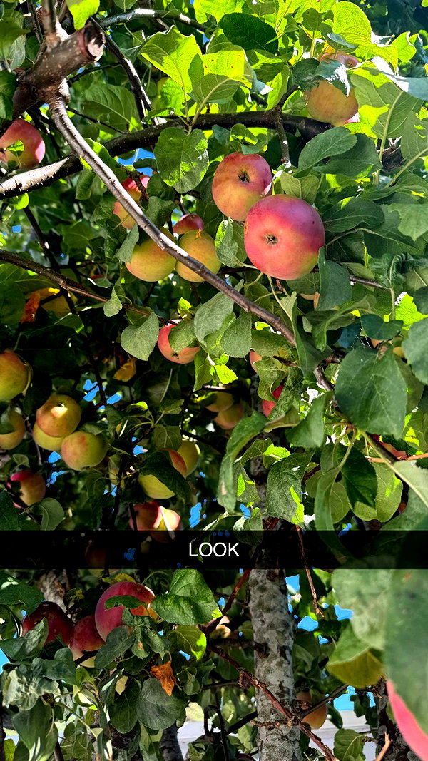 mathilda_bergs snapchat image archive image