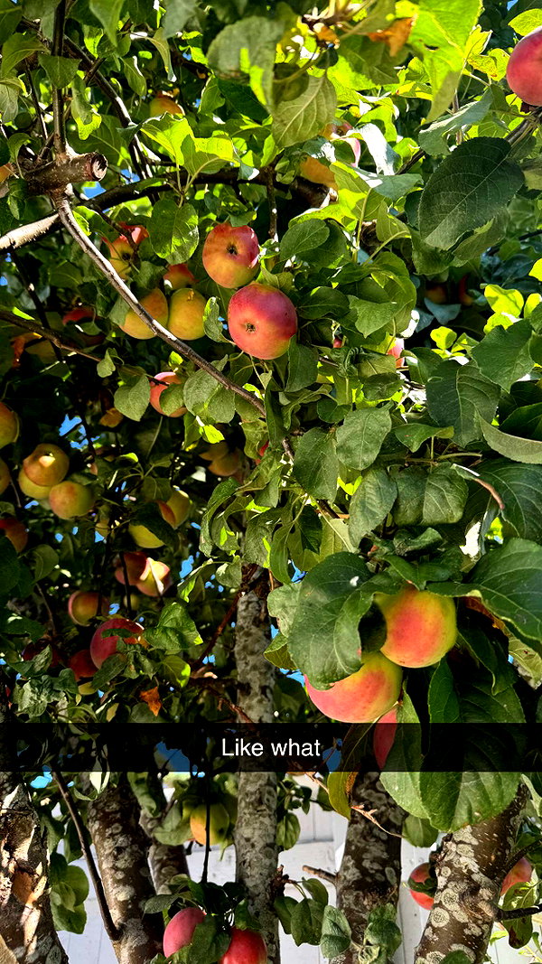 mathilda_bergs snapchat image archive image