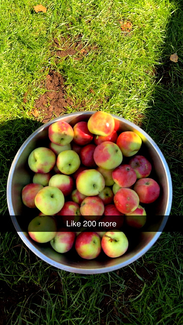 mathilda_bergs snapchat image archive image