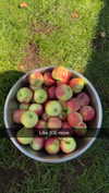 mathilda_bergs Altpins Profile Picture