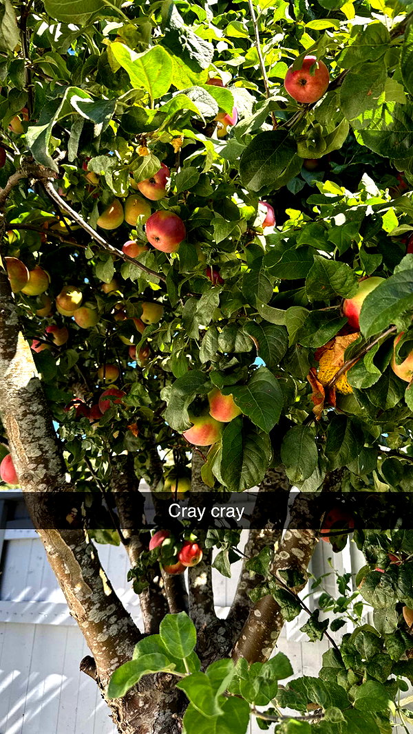 mathilda_bergs snapchat image archive image