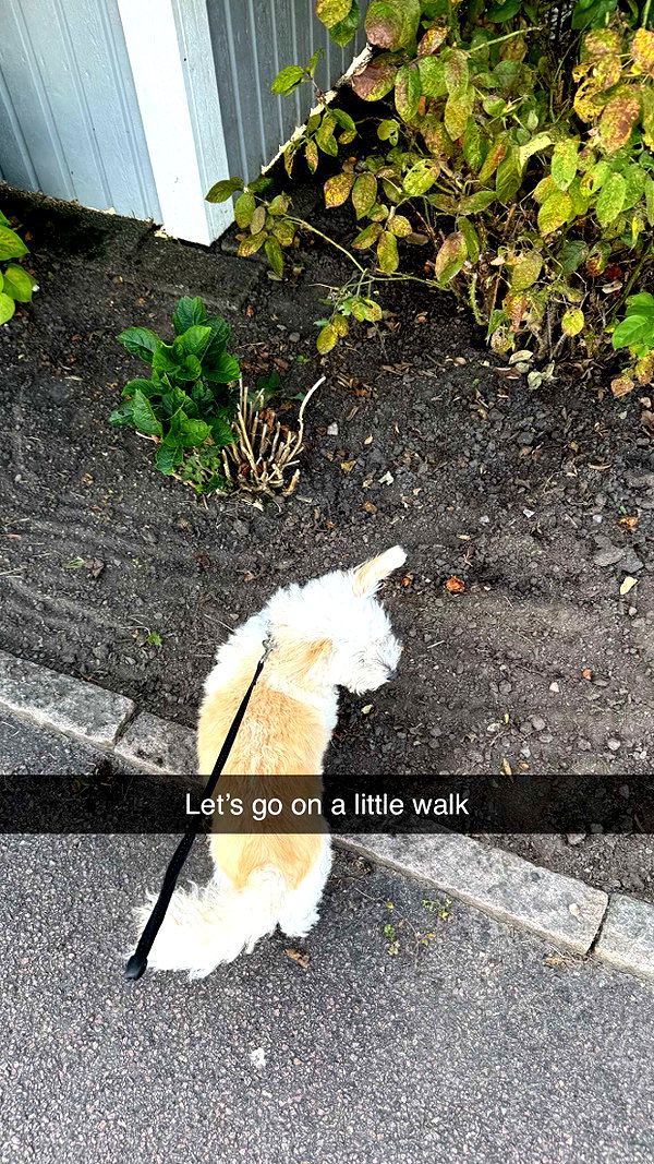 mathilda_bergs snapchat image archive image