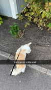 mathilda_bergs Altpins Profile Picture