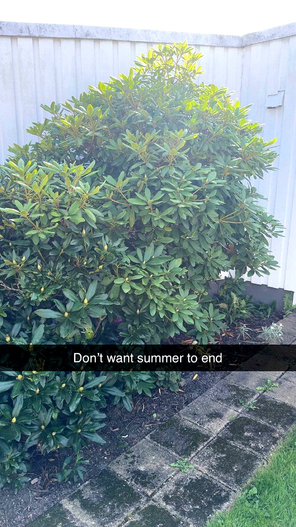 mathilda_bergs snapchat image archive image