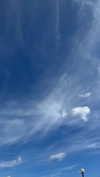 mathilda_bergs Altpins Profile Picture