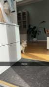 mathilda_bergs Altpins Profile Picture