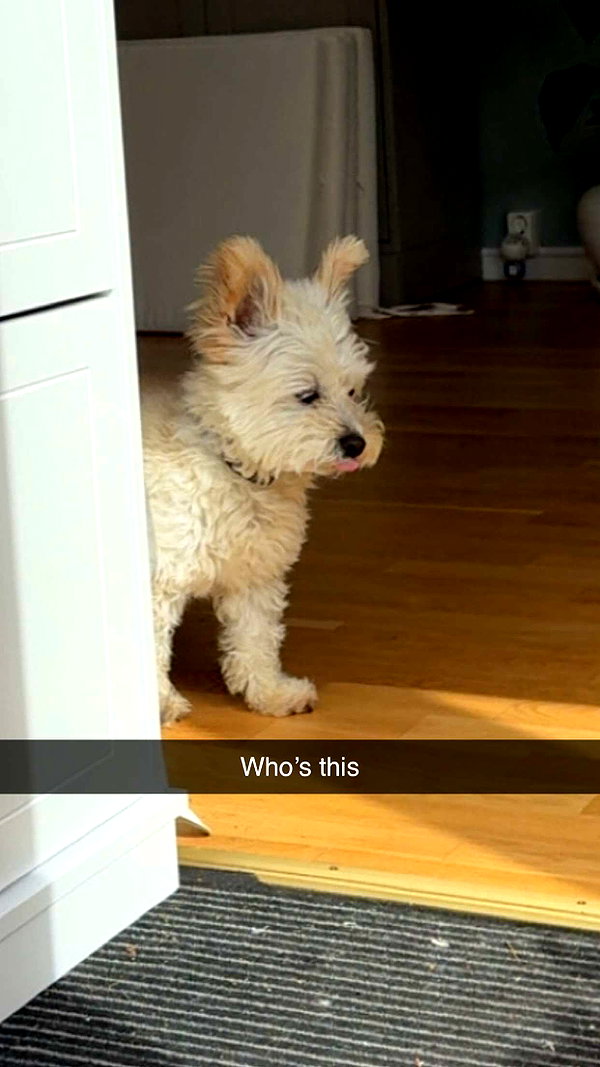 mathilda_bergs snapchat image archive image
