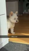 mathilda_bergs Altpins Profile Picture