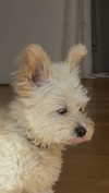 mathilda_bergs Altpins Profile Picture