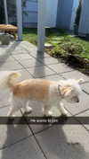mathilda_bergs Altpins Profile Picture